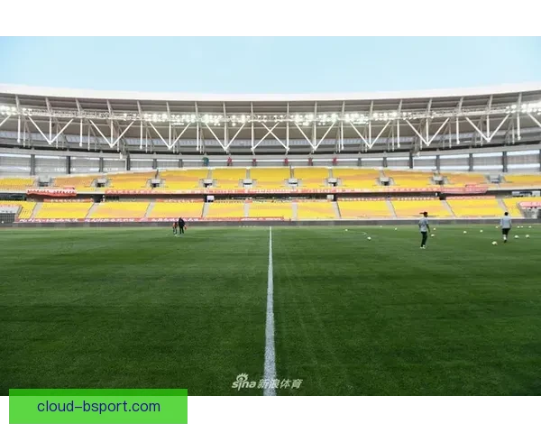 卢顿英超主场草皮紧急翻新确保比赛安全标准